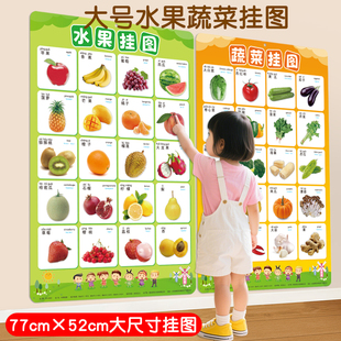 蔬菜水果动物挂图早教启蒙学习认物学前幼儿园认知认识墙贴3岁