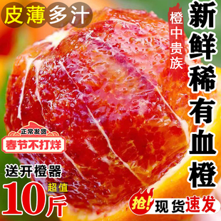 正宗四川资中塔罗科血橙玫瑰红橙10斤新鲜水果应当季超甜手剥橙子