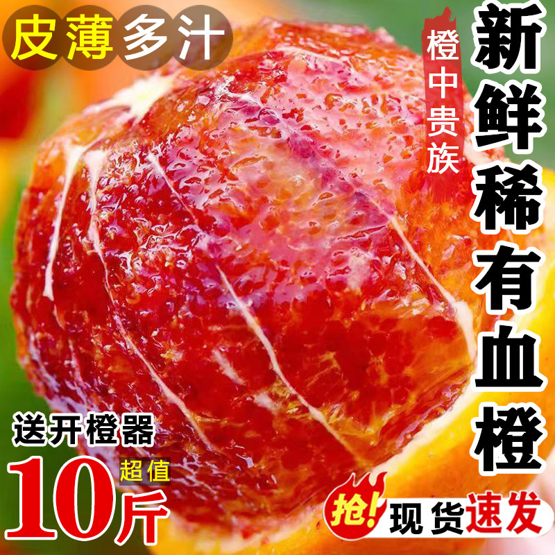 正宗四川资中塔罗科血橙玫瑰红橙10斤新鲜水果应当季超甜手剥橙子