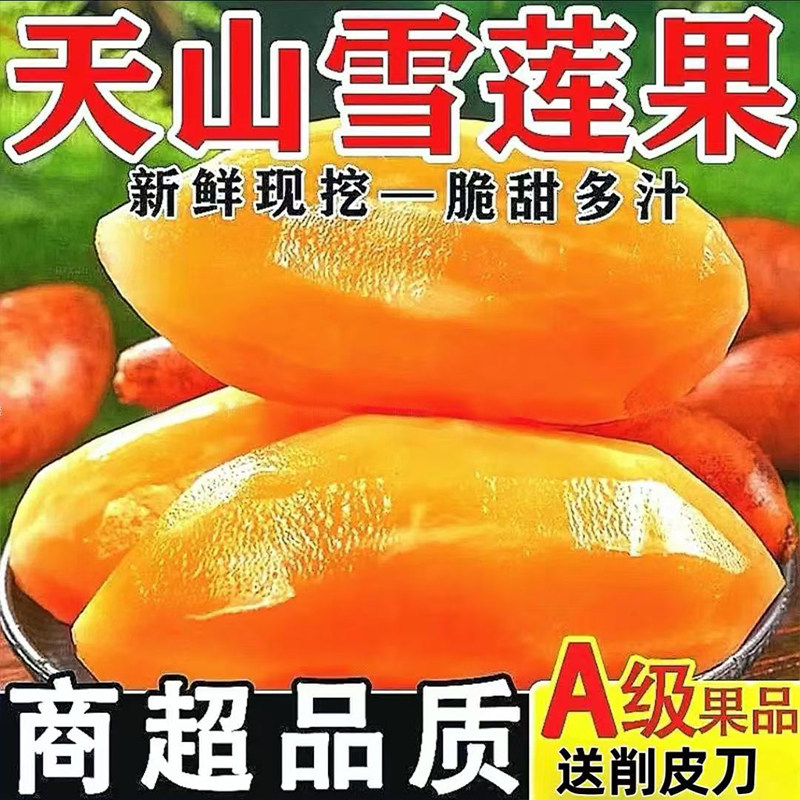 云南天山雪莲果新鲜水果10斤黄心一级果脆甜多汁当季整箱产地直发