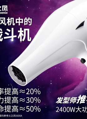 火之凤大功率专业静音吹风机