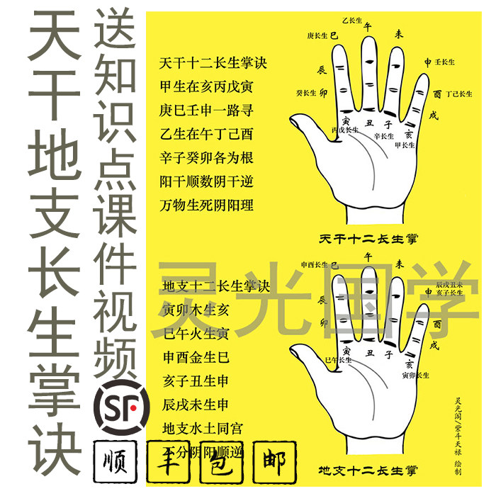 天干地支十二长生掌诀图附带学习视频顺丰包邮