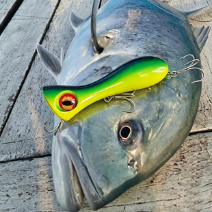2个10cm30g炸水木波爬路亚饵远投深海船钓大青甘金枪鱼鬼头刀GT饵