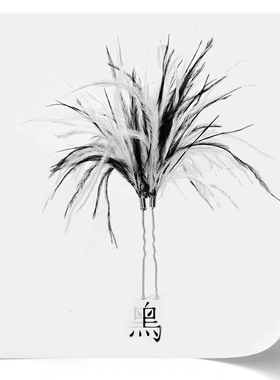 黑白羽毛手作发簪发夹婚礼新娘