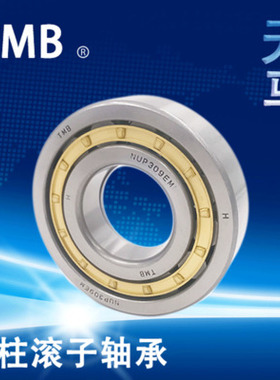 天马TMB轴承 N NU NJ RN NUP NF 240 244 248 EM C3 4 P5 6
