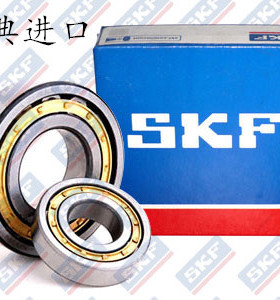 瑞典SKF进口轴承N NU NJ RN NUP205 206 207 208 ECP ECM ECJ C3