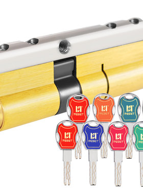 锐赛特RESET-136超c级防盗大门通用家用装修黄铜叶片锁芯 可定制