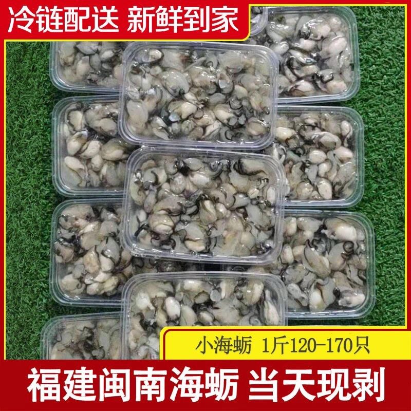 快递冷运福建小海蛎现剥无泡水牡蛎海蛎生蚝肉新鲜发货蚝烙蚵仔煎
