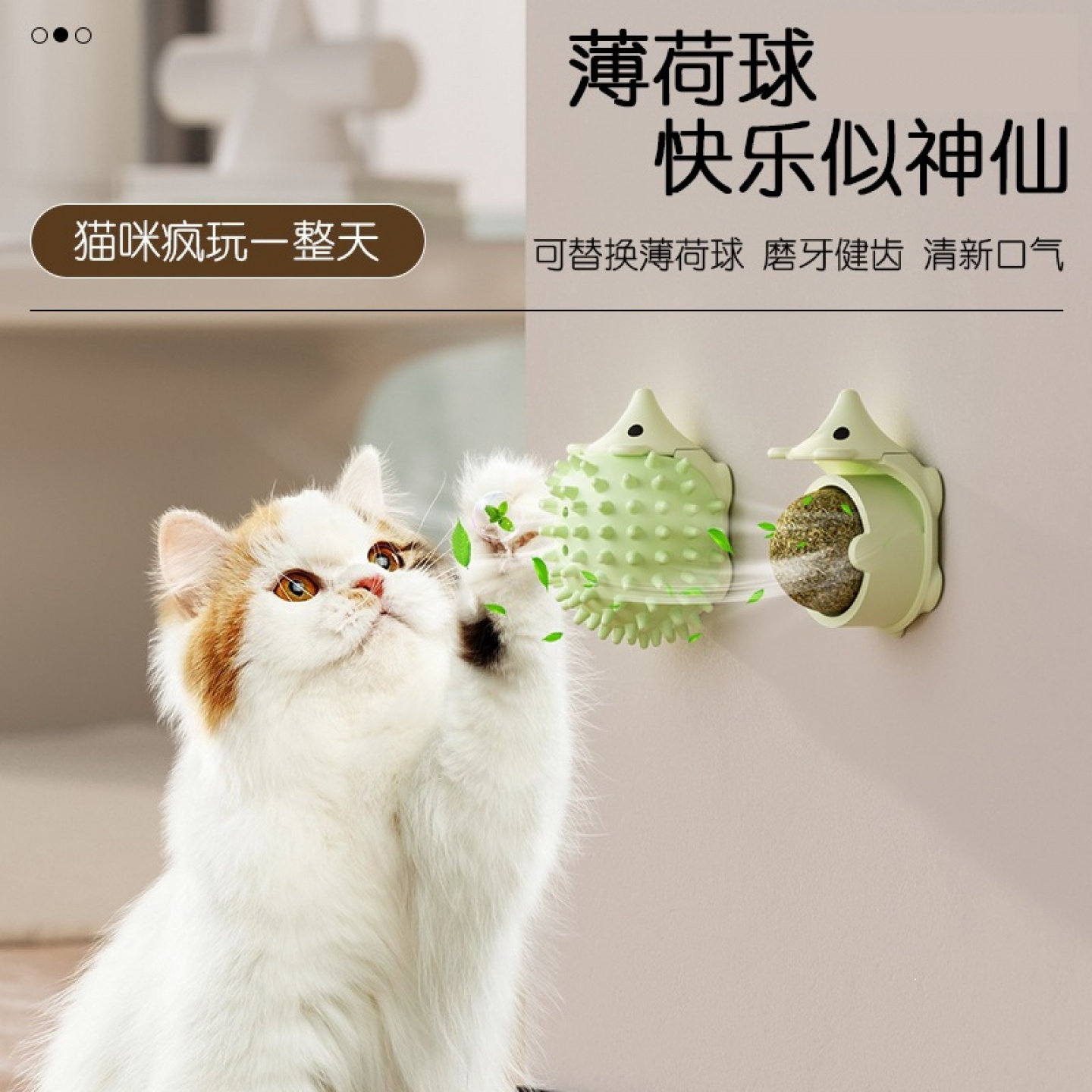 宠物猫薄荷球舔舔乐自嗨逗猫玩具猫咪虫瘿果球刺猬蹭痒玩猫玩具