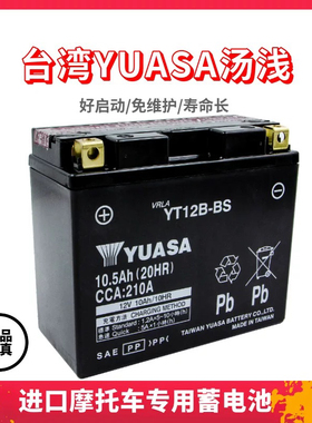 汤浅摩托电瓶YT12B-BS杜卡迪大魔鬼696/748/796/848自由800蓄电池