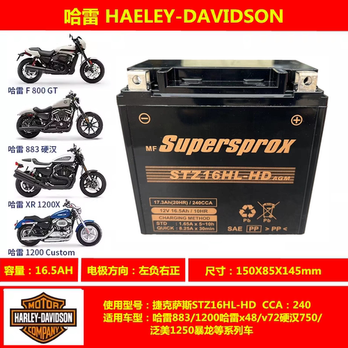 宝马水鸟F700 F750 F850GS R1200GS F800R F800GSGT F900电瓶电池