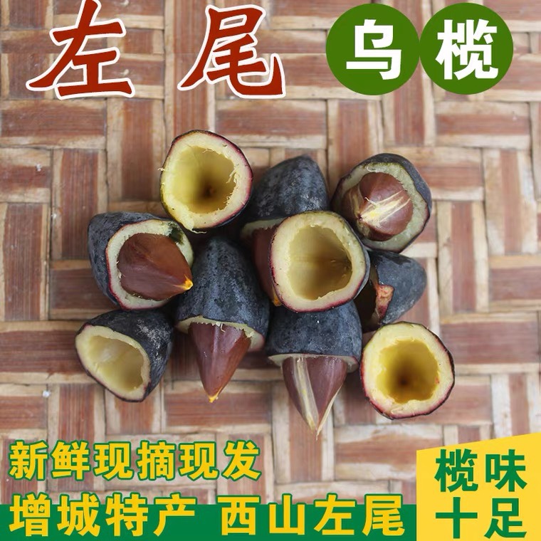 广东增城黑榄信诚现摘包邮黑榄