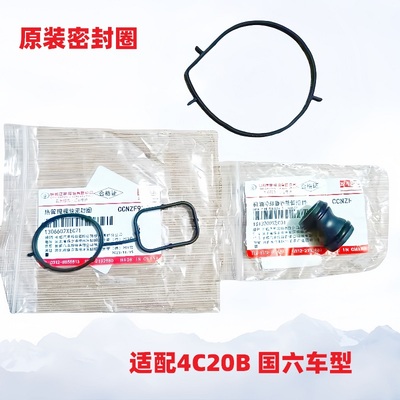 长城2.0T汽油车水泵模块密封圈