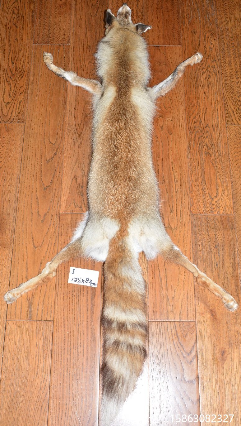 金丝红狐狸I 披肩衣领  裘皮草服饰  特大整张狐皮带爪 实物现货