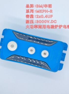 BM丰明 RKMJ-P 2*0.4UF 0.5UF 3000V 100A 商用电磁灶谐振电容