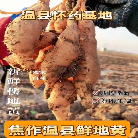 农家鲜生地黄正宗焦作