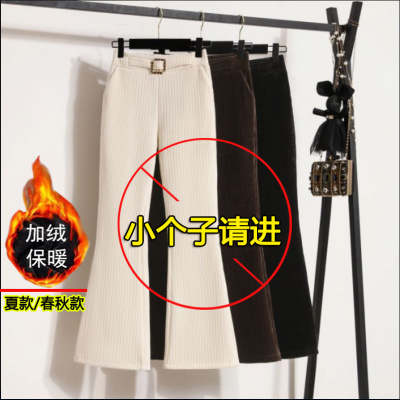 145小个子九分微喇叭条绒裤子