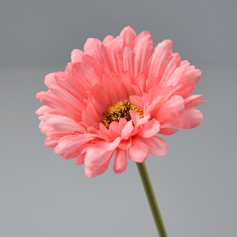 仿真花短杆非洲菊绢花美人菊假花新娘手捧插花制作甜品台装饰摆放 鲜花速递/花卉仿真/绿植园艺 仿真花 原图主图