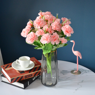 10头康乃馨把花家居装饰花束老师节礼品花桌花走廊装饰花坛插花