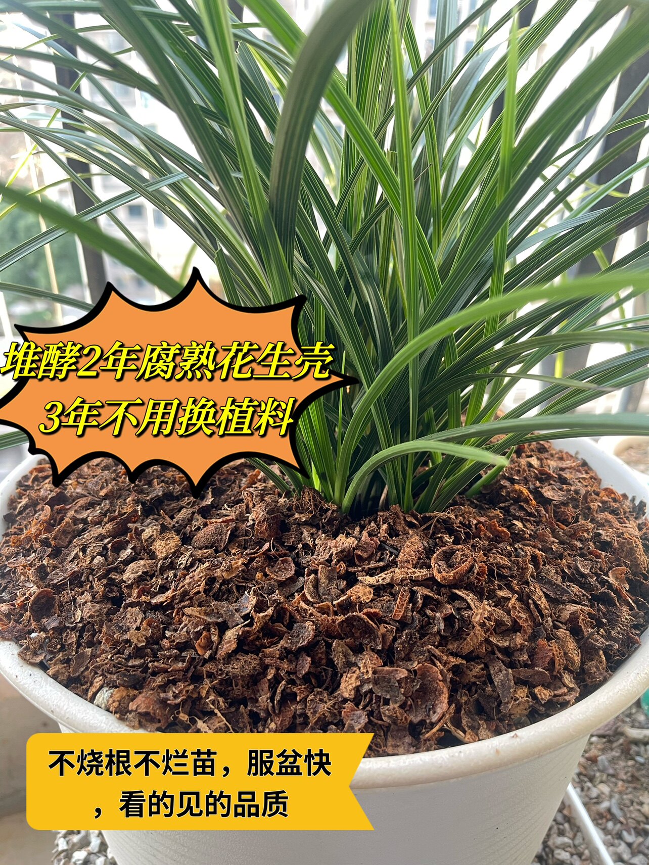 花生壳兑石子兰花植料腐熟花生壳兰花用疏松透气营养土通用有机肥