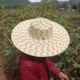 帽子斑马条纹帽四季通用遮雨新品圆顶外出农作游玩佳品