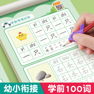 学前识100词识字书幼儿园认字有图有声启蒙早教书籍学前班识字卡片识字大王3000字一年级下册识字表儿童幼小衔接悟空宝宝趣味看图