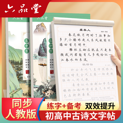 正楷字帖初中生专用古诗文言文