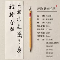 【Фиолетовый нимб】 Цзинь Юнь бегает кистью для каллиграфии