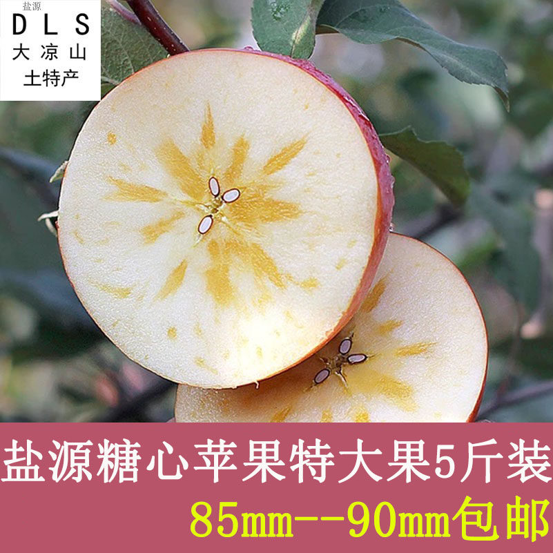 大凉山盐源盐源冰糖心苹果无公害农产品5斤装包邮洗洗带皮吃健康