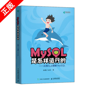 【书】MySQL是怎样运行的 从根儿上理解MySQL高性能MySQL深入浅出基础教程数据挖掘数据分析原理及应用书籍
