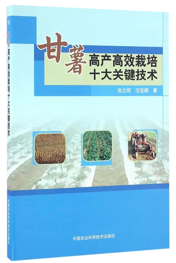 高效种植技术种植业甘薯育苗方法地瓜高效栽培管理紫薯栽培技术书籍