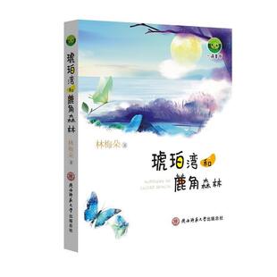 【r】 琥珀湾和鹿角森林 9787569506310 陕西师范大学出版社4