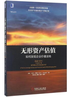 【r】 无形资产估值:如何发现企业价值洼地:a tool to leverage human and financial capital while managing risk 9787111568384
