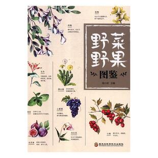 【文】 野菜野果图鉴 9787538898774 黑龙江科学技术出版社