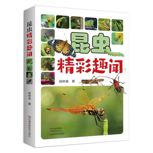 【书】正版昆虫精彩趣闻 徐林瑜 青少年昆虫科普读物 中原地区近百种昆虫形态特征、生活习性和奇特行为 河南科学技术出版社书籍 - 封面
