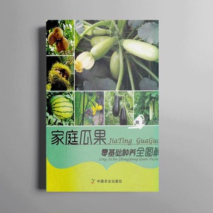 家庭瓜果零基础种养全图解 正版 中国农业出版 社 家庭蔬菜栽培书籍 家庭小菜园蔬菜种植书绿色蔬菜瓜果种植技术大全书籍 书