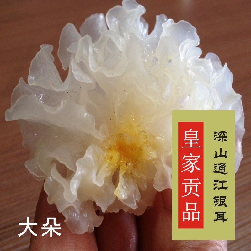 四川通江银耳干货特级贡品250g 包邮天然椴木野生无硫雪耳 白木耳