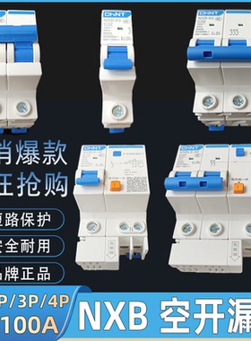 NXB空开漏电断路器1P2P3P+N16A20A3240A63安家用总闸保护空调漏保