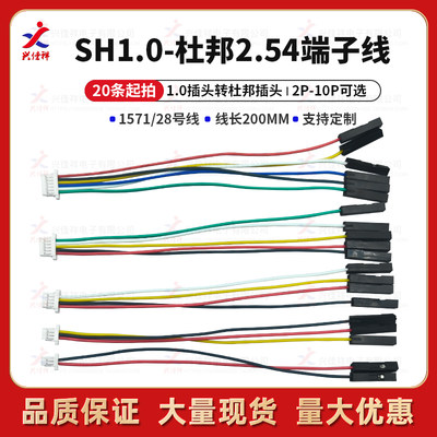 SH1.0转杜邦2.54双头延长线2-10P