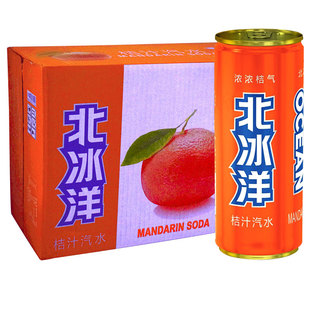 北冰洋桔汁味汽水碳酸饮料北冰洋橘汁330ml*24听装 多省包邮