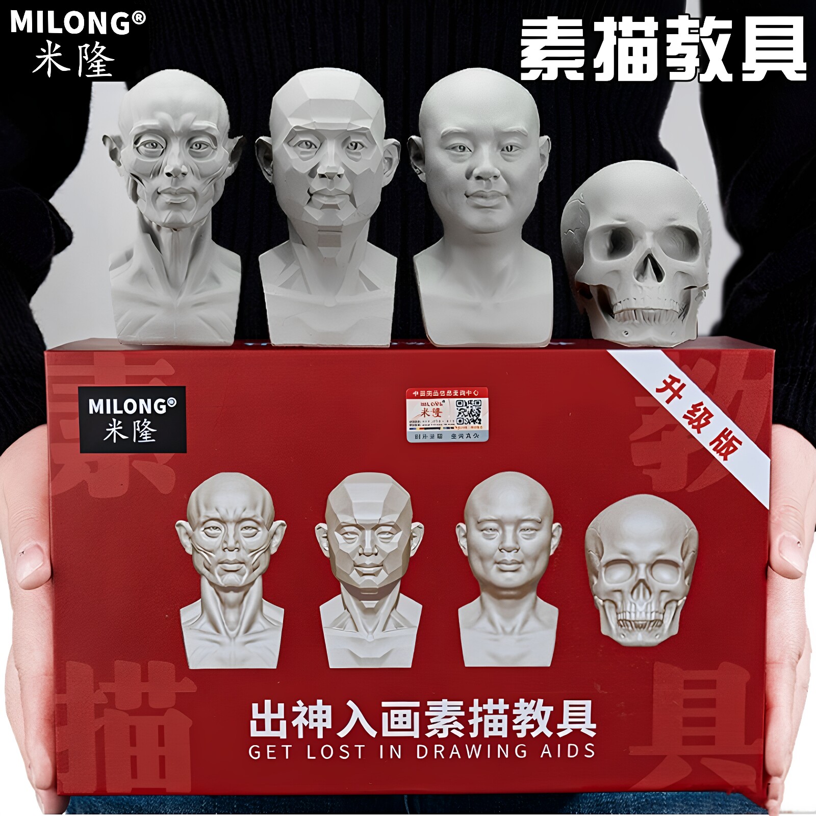 米隆树脂素描教具头头是道头骨肌肉人头像青年原版青年块面雕塑