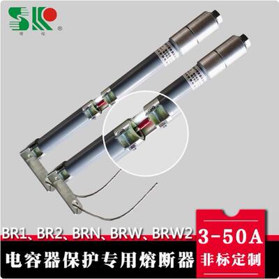 温州曙光尾线回收型保险丝管BR1BR2 BRN BRW-10/12KV/3A30A40A50A