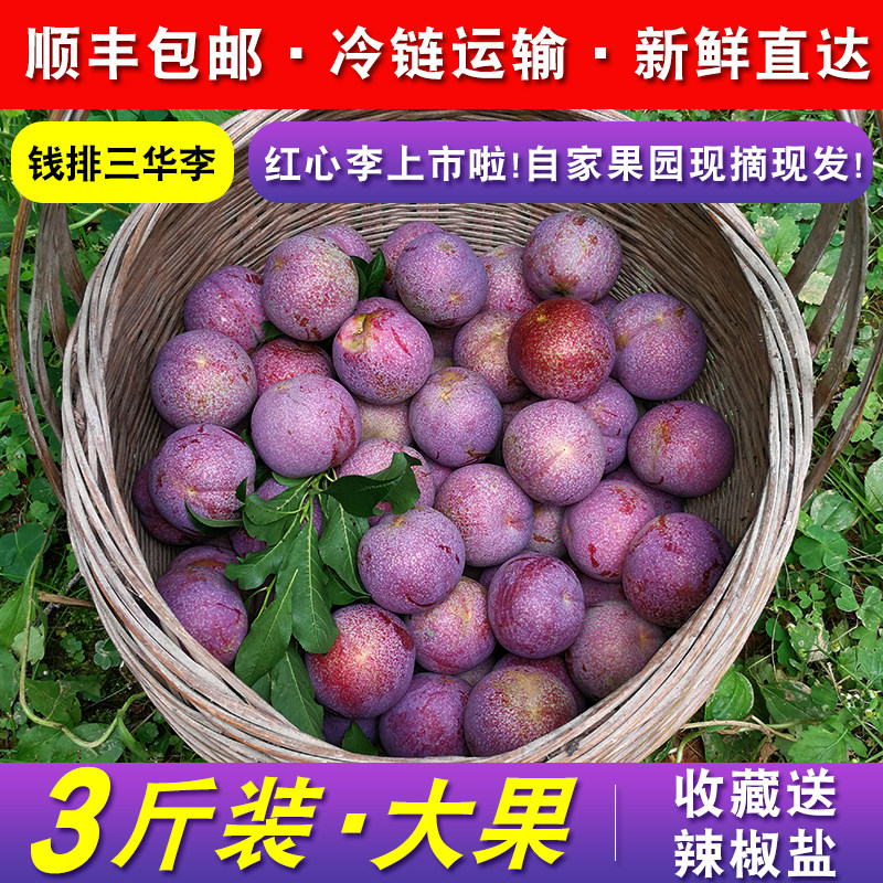 现货正宗信宜钱排三华李银妃红心李大果前排酸甜孕妇水果顺丰包邮