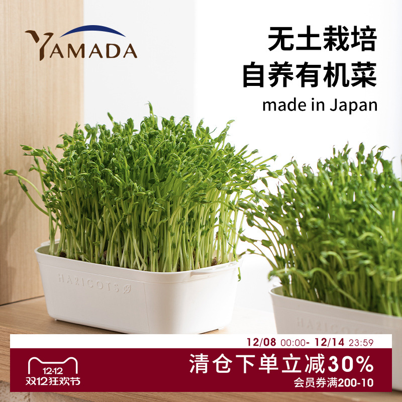 日本进口绿豆芽栽培器豌豆苗发芽盆蔬菜猫草种植无土水培育苗托盘