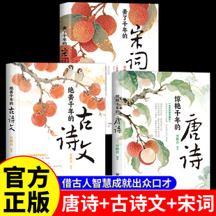 美了千年 宋词惊艳千年 正版 古诗文全3册 中国文学古典浪漫诗词 中国古诗词 借古人智慧成就出众口才 绝美千年 唐诗赏辞典赏析