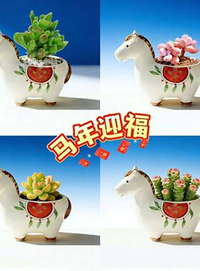 创意马年多肉桌面盆栽好养摆件