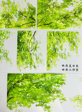 手帐分装胶带a288林荫夏日长世安工作室古风PET素材账手机壳贴纸