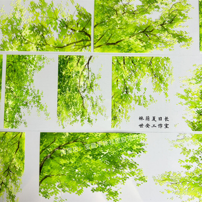 手帐分装胶带a288林荫夏日长世安工作室古风PET素材账手机壳贴纸