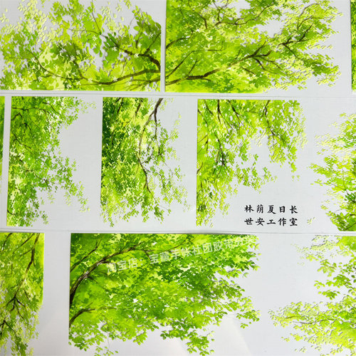 手帐分装胶带a288林荫夏日长世安工作室古风PET素材账手机壳贴纸