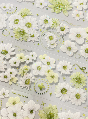 手帐分装胶带h93幸运雏菊朝夕绿色花清新PET古风素材账手机壳贴纸